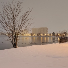 Sharp Photographs, Winter in Barrie Ontario