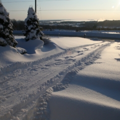 Sharp Photographs, Winter in Orillia Ontario