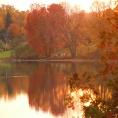 Sharp Photographs, Autumn in Haliburton Ontario