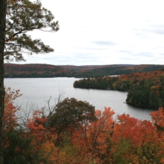 Sharp Photographs, Autumn in Orillia Ontario