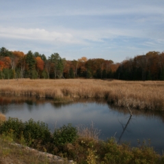 Sharp Photographs, Autumn in Orillia Ontario