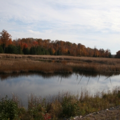 Sharp Photographs, Autumn in Orillia Ontario