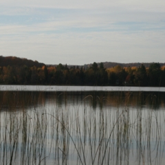 Sharp Photographs, Autumn in Ontario