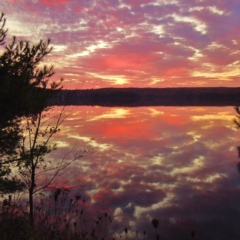 Sharp Photographs, Autumn in Haliburton Ontario