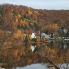 Sharp Photographs, Autumn in Haliburton Ontario