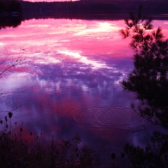 Sharp Photographs, Autumn in Haliburton Ontario