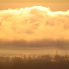 Sharp Photographs, Autumn in Orillia Ontario