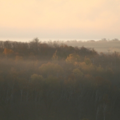 Sharp Photographs, Autumn in Orillia Ontario