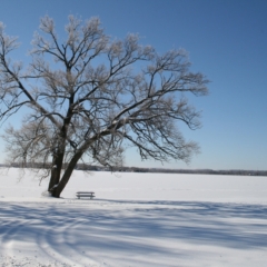 Sharp Photographs, Winter in Orillia Ontario