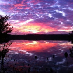 Sharp Photographs, Autumn in Haliburton Ontario