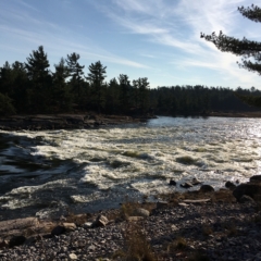 Sharp Photographs, Summer on Lake Nipissing, Ontario