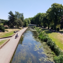 Sharp Photographs, Summer in Stafford England