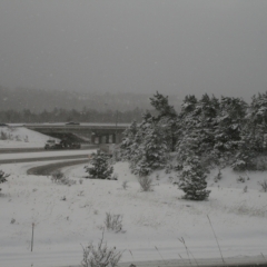 Sharp Photographs, Winter in Orillia Ontario